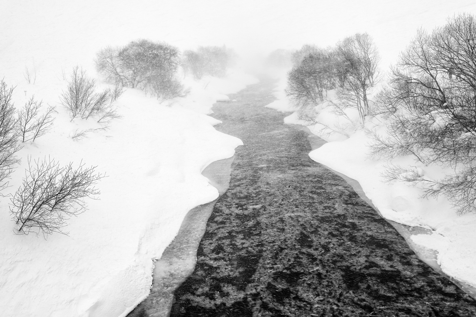 043_L1001104k 2
